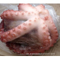 gefrorene frische Oktopus-Rohstoffnamen Oktopus